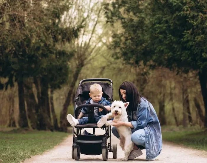 Dog Transfer Service Leicester