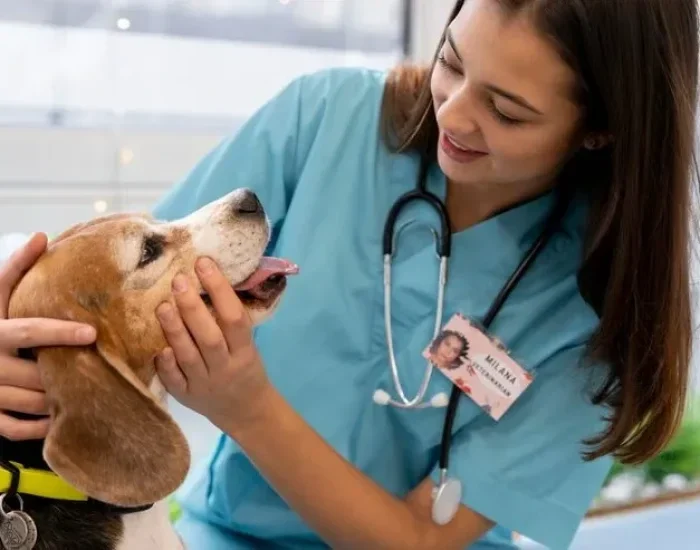 Medical Pet Transport Services