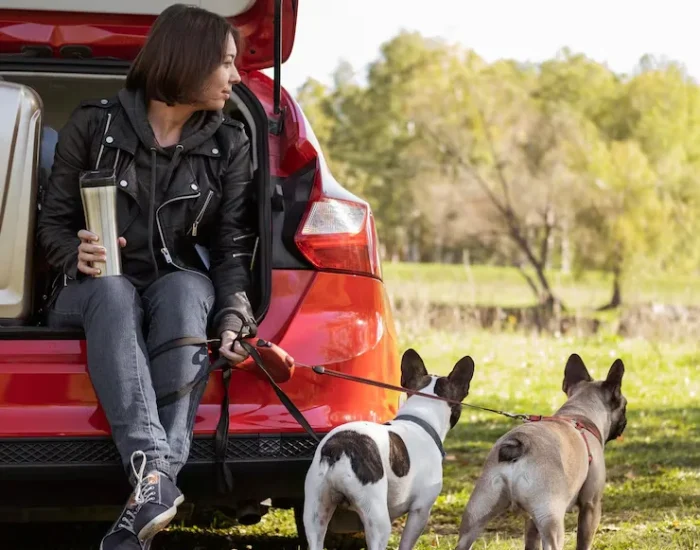 pet travel consultation