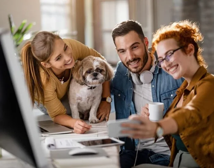 pets team our servicess