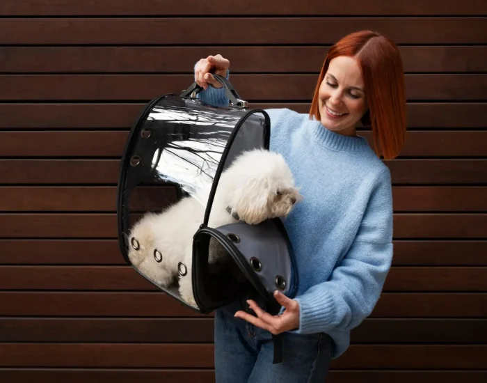 International Animal Relocation Services UK to Slovakia