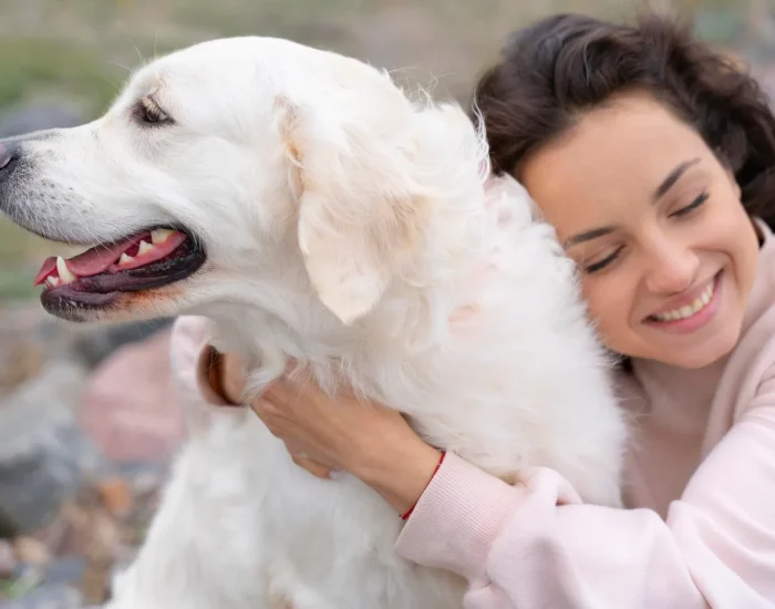 UK to Spain Pet Transport Services