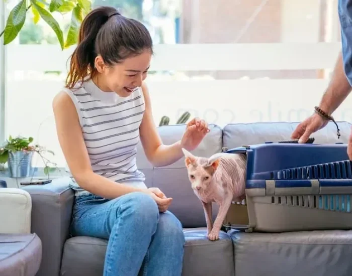 Door to Door Pet Transport Services London