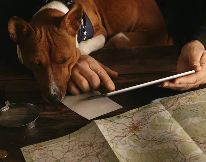 Relocation Planning and Species Specific Route Assessment