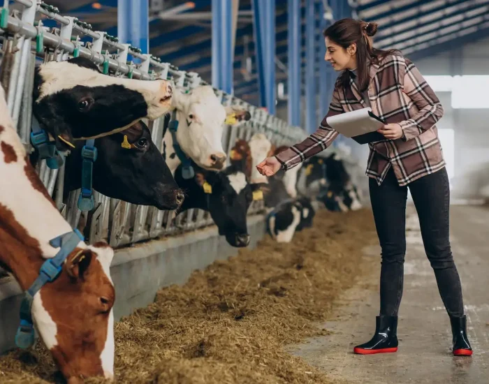 safe animal courier services southampton