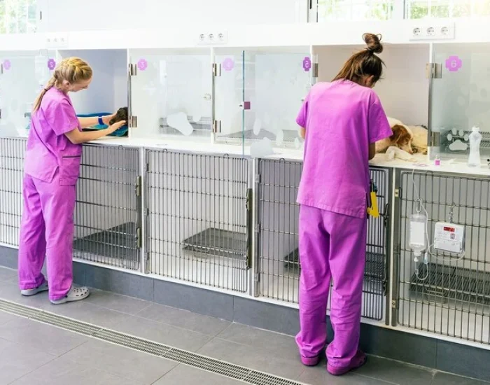 Specialised Pet Quarantine Services London