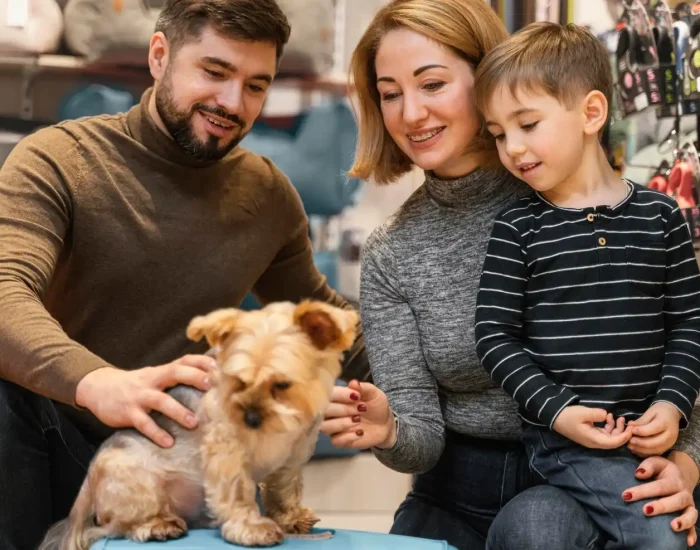 Dog Transport Services UK to Slovakia