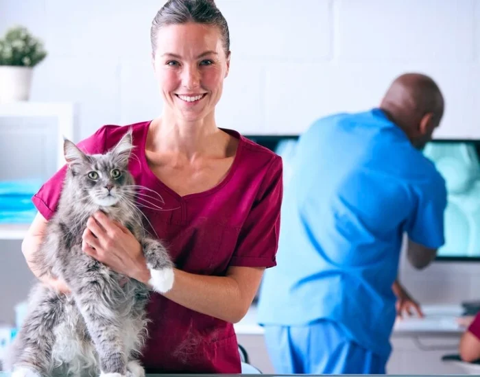 Pet Courier Services UK to Poland