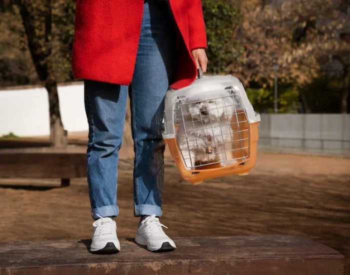 Travel Crate Preparation and Compliance