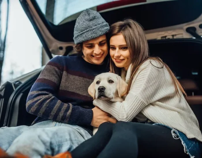 Experts providing corporate pet relocation services with safe transport and care for pets.