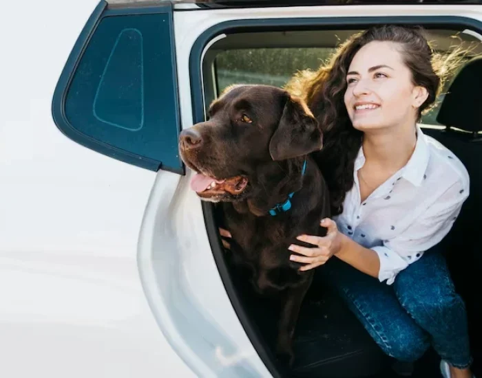 Experts providing trusted real-time pet tracking services to monitor pets during travel safely.