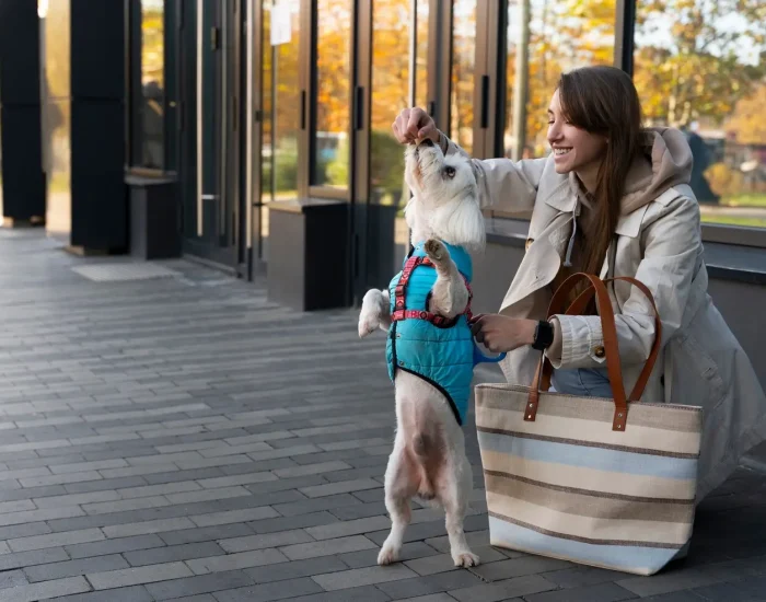 Luxury Pet Transport for Pets with Special Needs