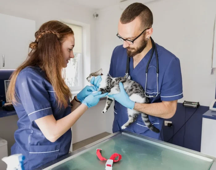 Overseas Pet Courier Services