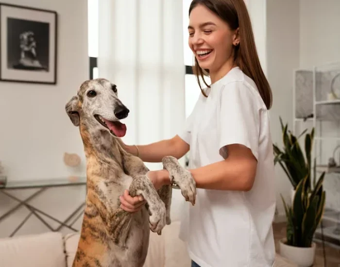 Expert Pet Transport Team Managing Safe Travel From the UK to France With Care and Planning