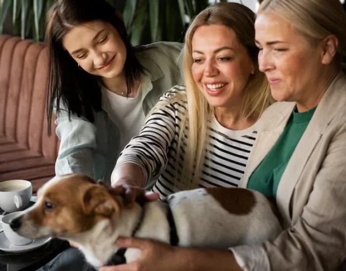 Our pet transport service from the UK to Poland ensures safe, comfortable, and stress-free journeys.