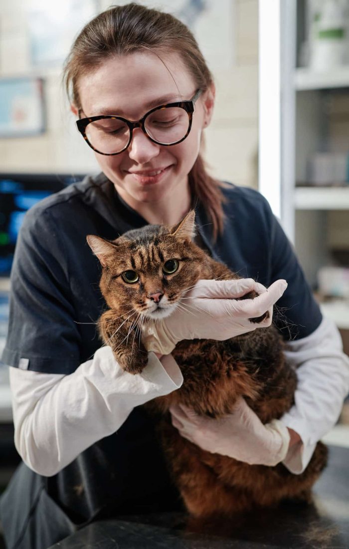woman-caring-about-the-cat-in-clinic.jpg
