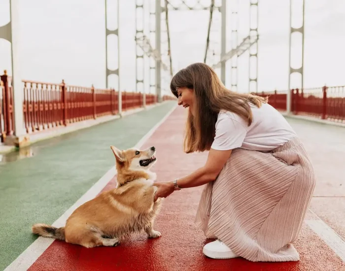 worldwide pet transport services